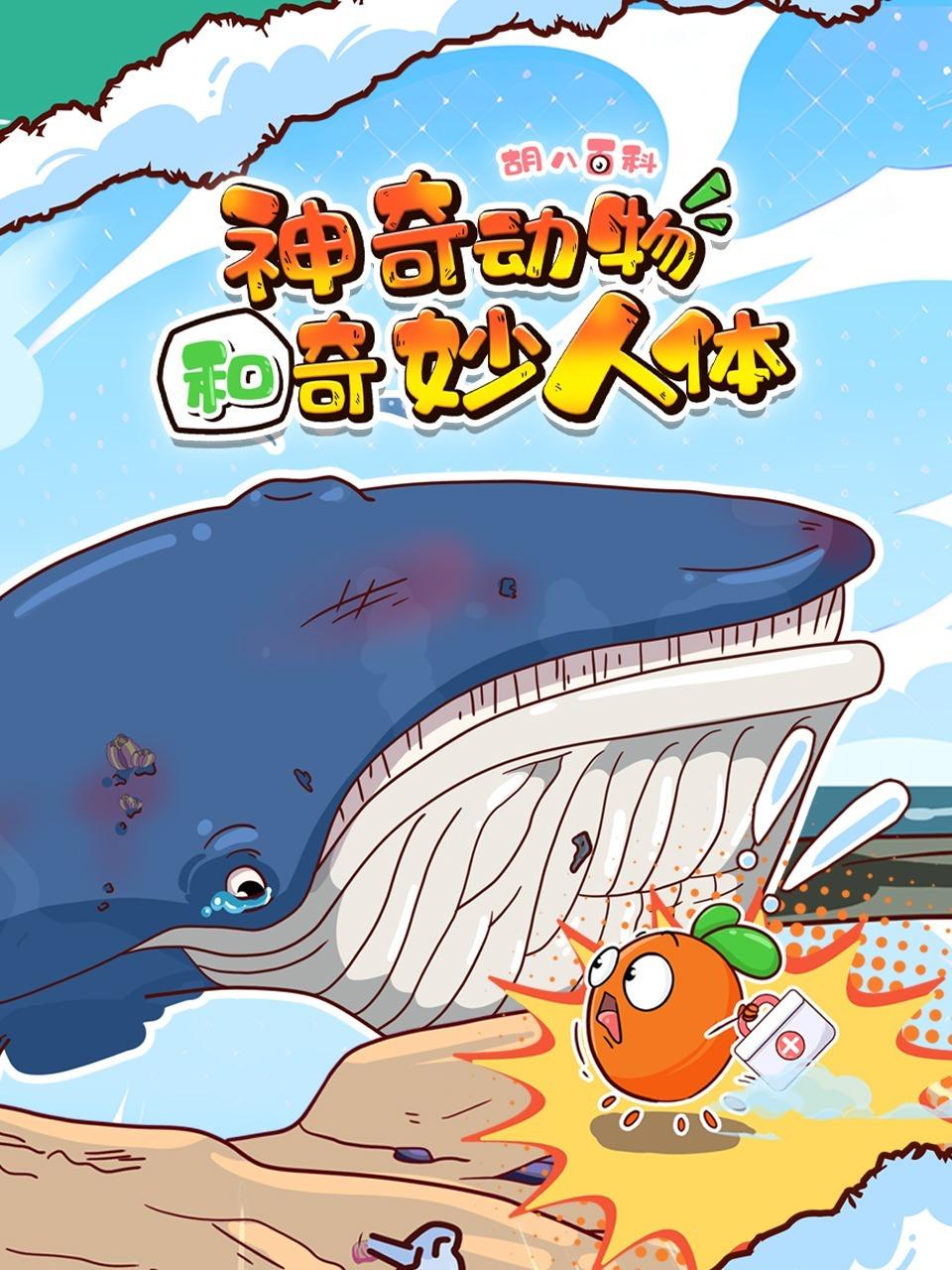 胡八百科神奇动物和奇妙人体